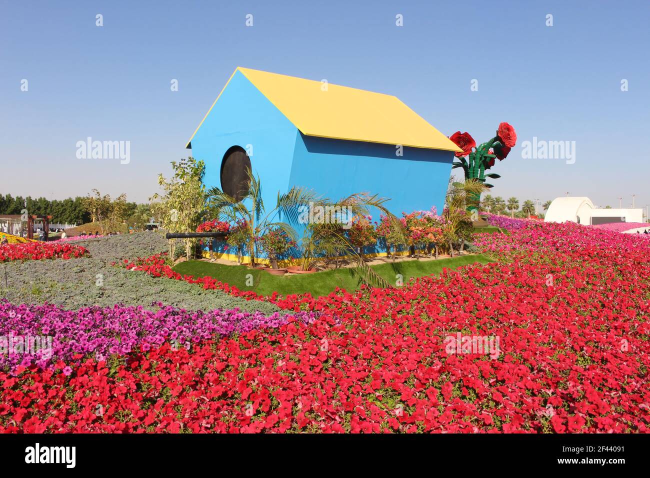 yanbu flower festival Stock Photo Alamy