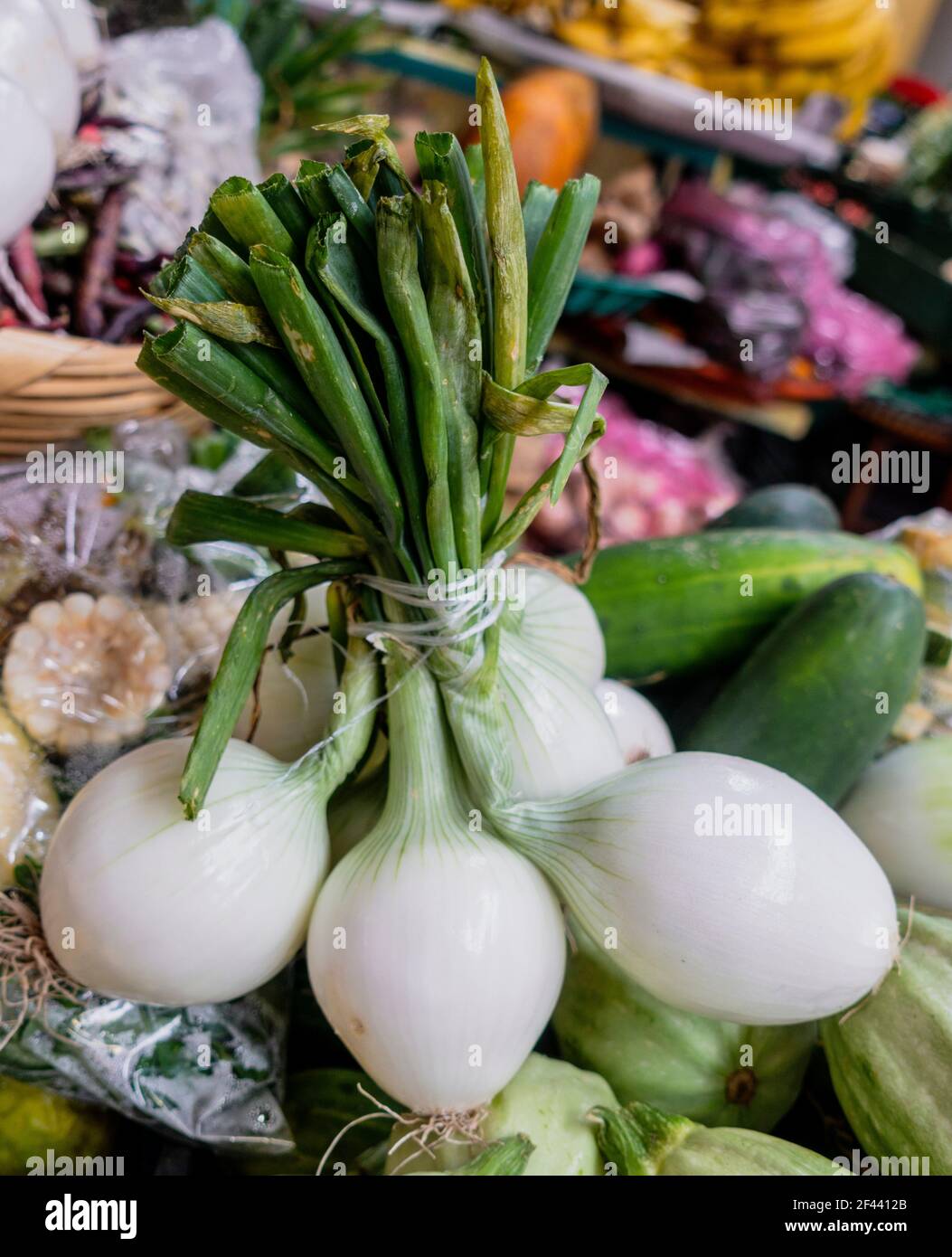 Leeks for sale at farm market hires stock photography and images Alamy