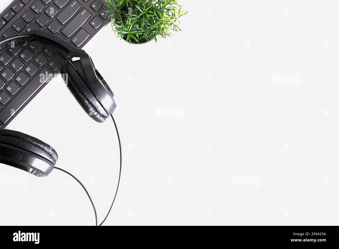 Business work place with laptop, keyboard, headphones and plant Stock Photo