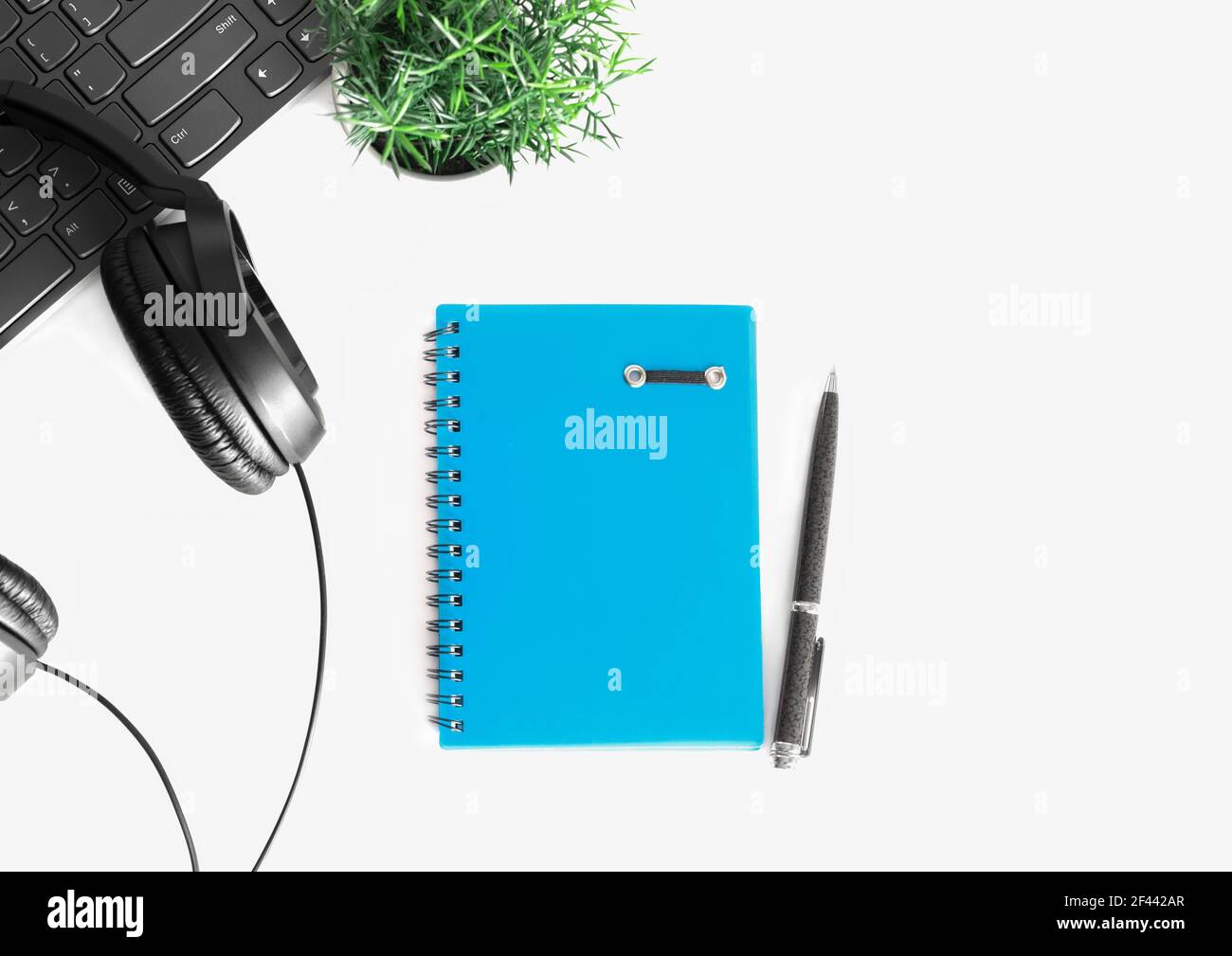 Business work place with laptop, keyboard, headphones , pencil and plant Stock Photo