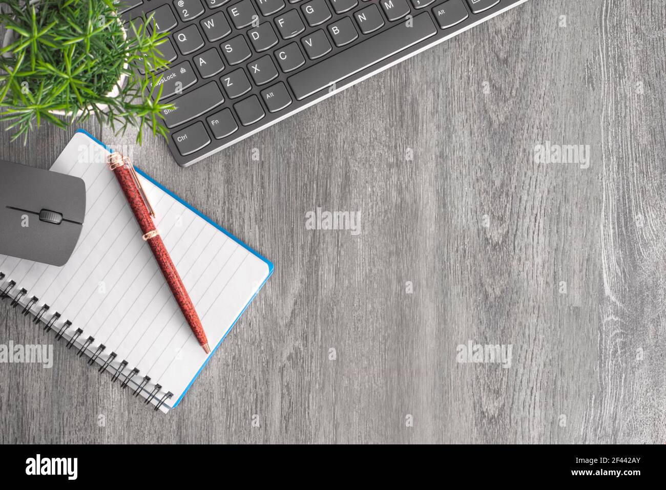 Business work place with laptop, keyboard, computer mouse , pencil and plant Stock Photo