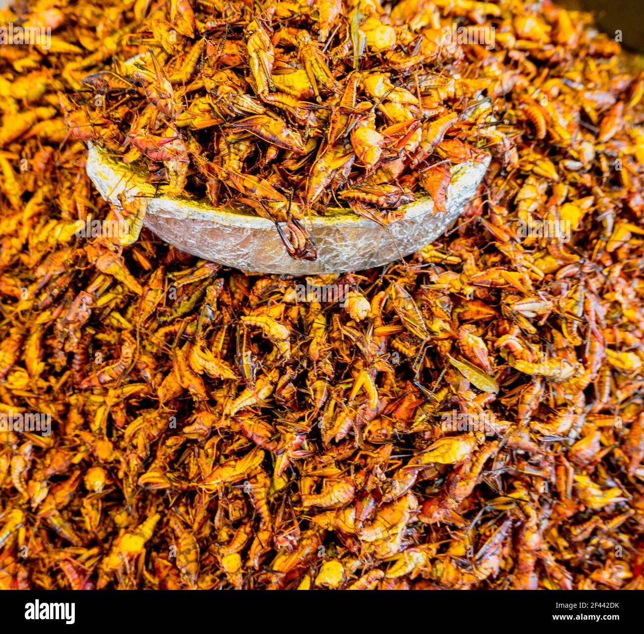 in a pile ready for sale Stock Photo Alamy