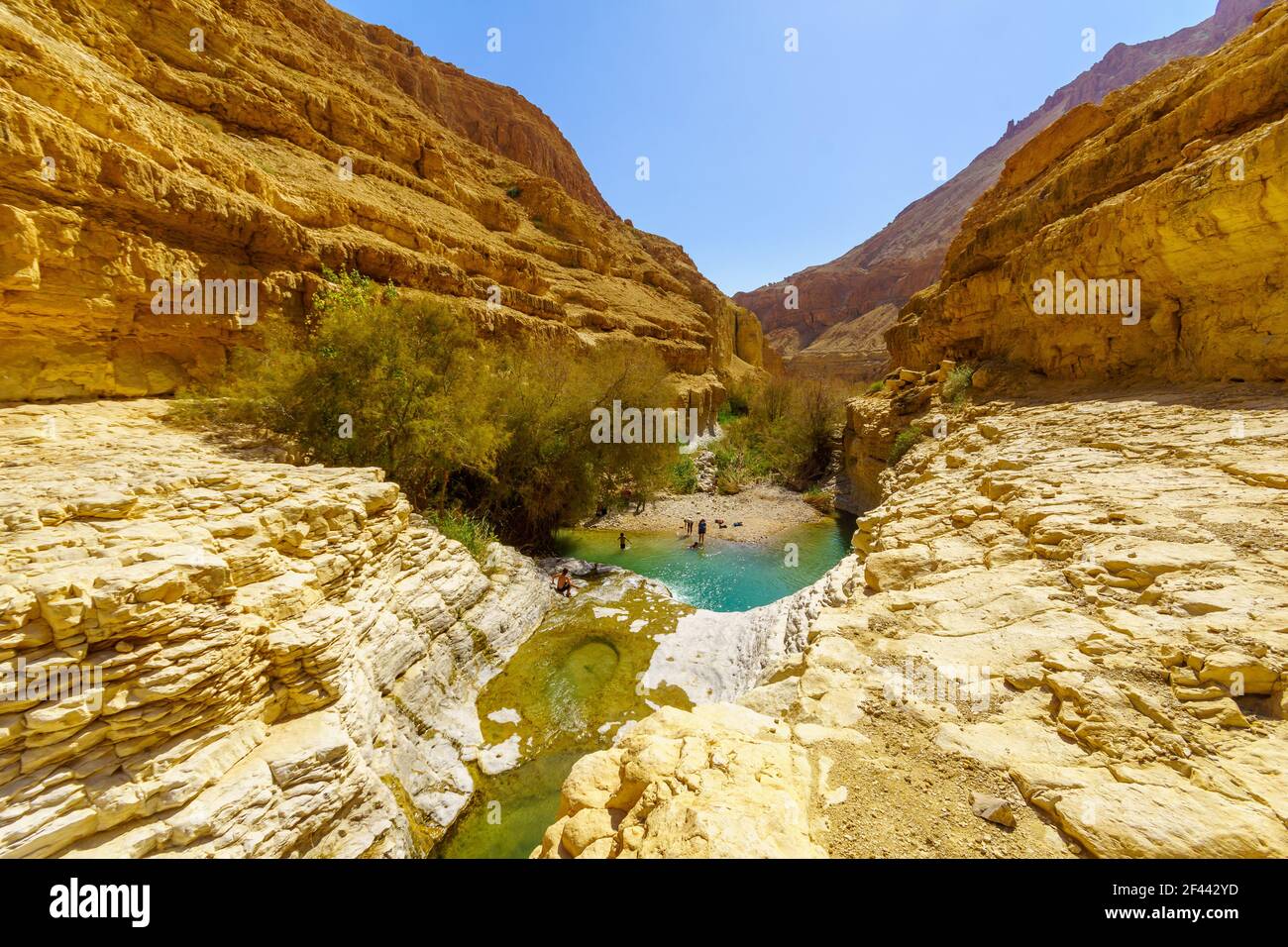Ein Gedi Reserve High Resolution Stock Photography Images - Alamy