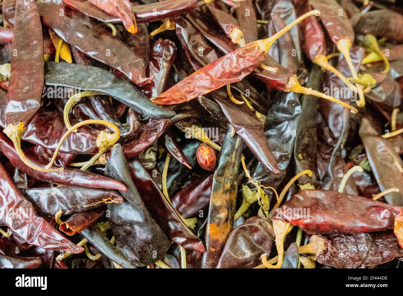 Chili Pepper Read High Resolution Stock Photography and Images - Alamy