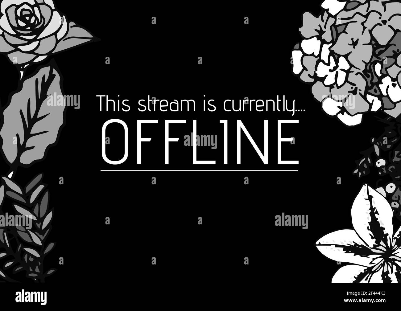 Digitally generated image of this stream is currently offline text and floral designs Stock Photo
