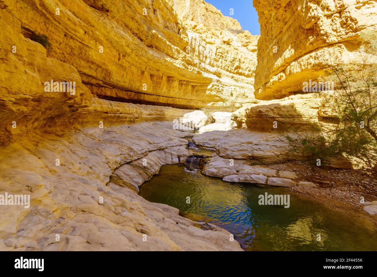 View of upper pools along the Arugot stream, in Ein Gedi Nature Reserve, near the Dead Sea, Southern Israel Stock Photo - Alamy