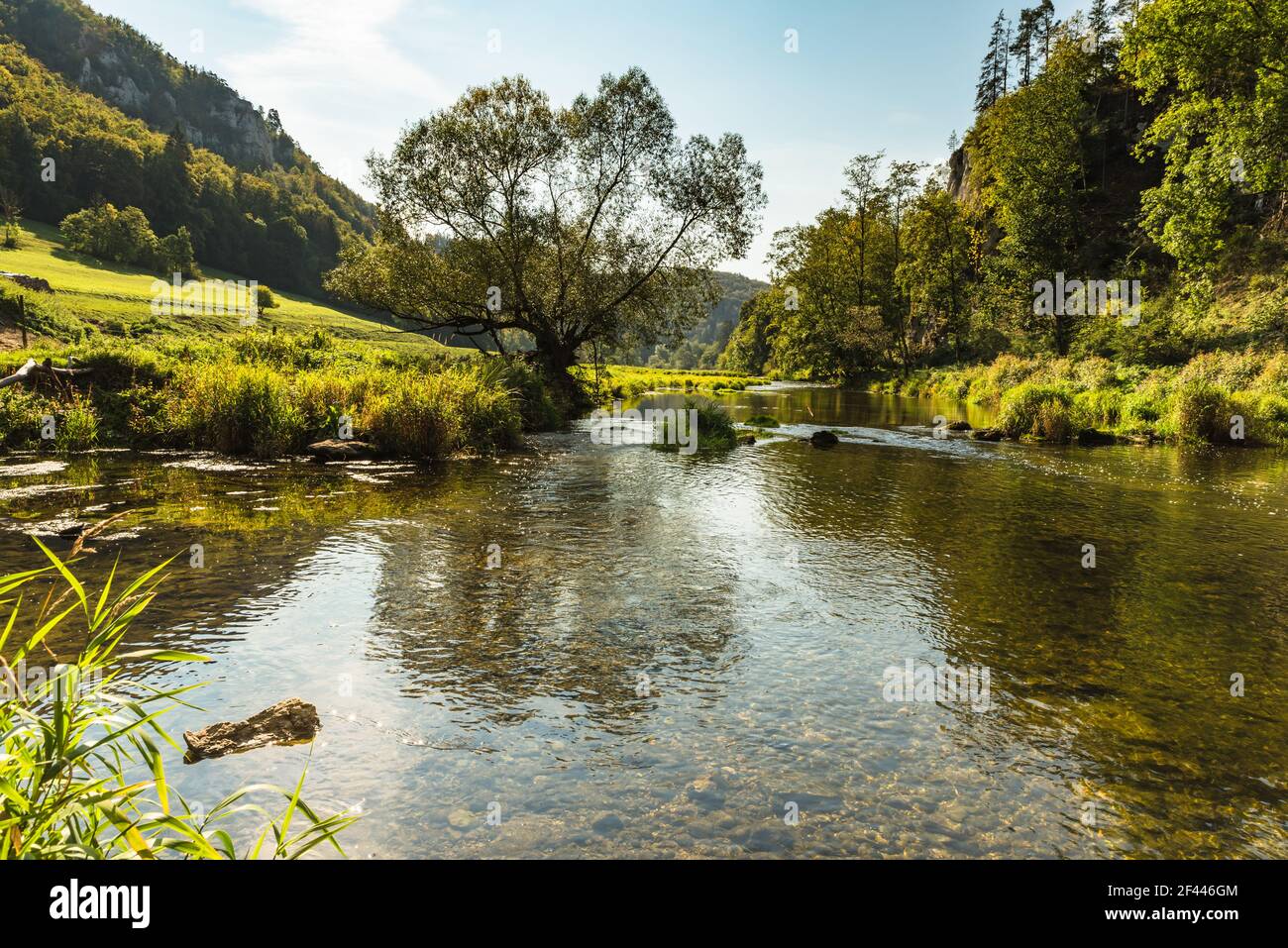 Danube in the Upper Danube Valley near Fridingen an der Donau, Baden-Wuerttemberg, Germany Stock Photo