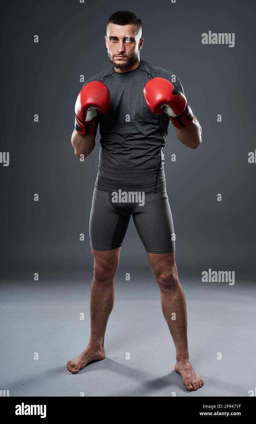 MMA fighter training, studio shot isolated on gray background Stock Photo