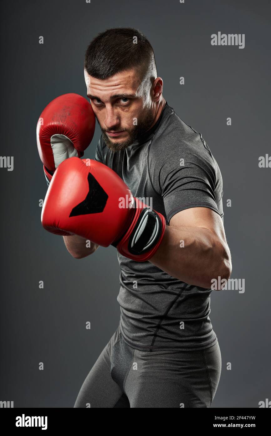 MMA fighter training, studio shot isolated on gray background Stock Photo