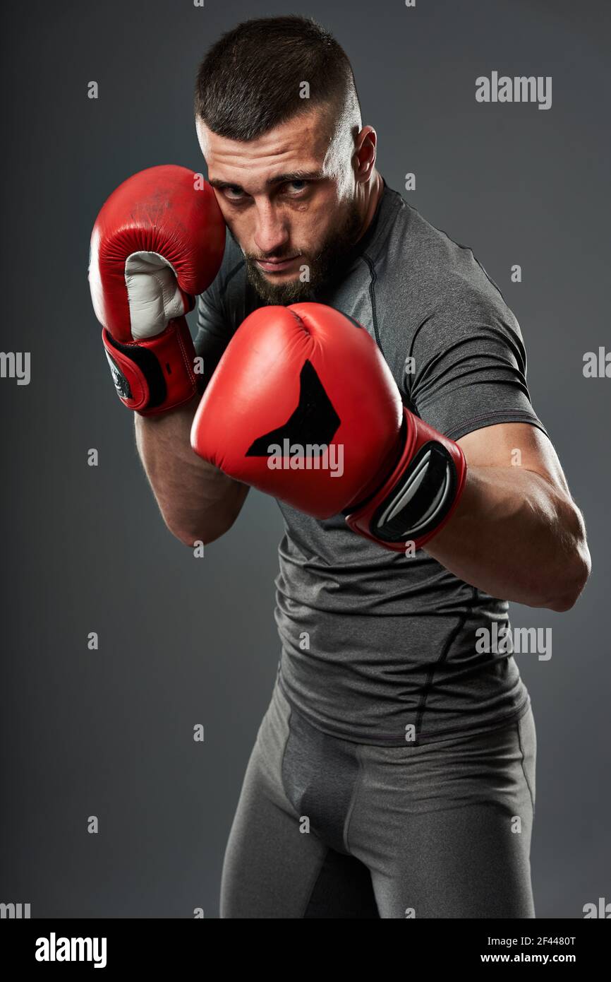 MMA fighter training, studio shot isolated on gray background Stock Photo