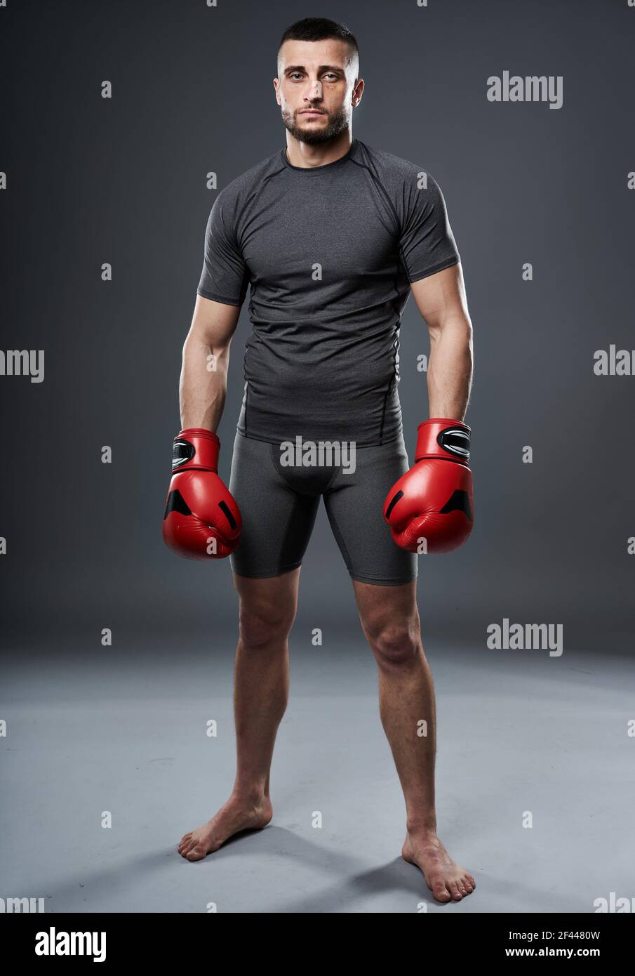 MMA fighter in training, posing for a shot oni gray background Stock Photo