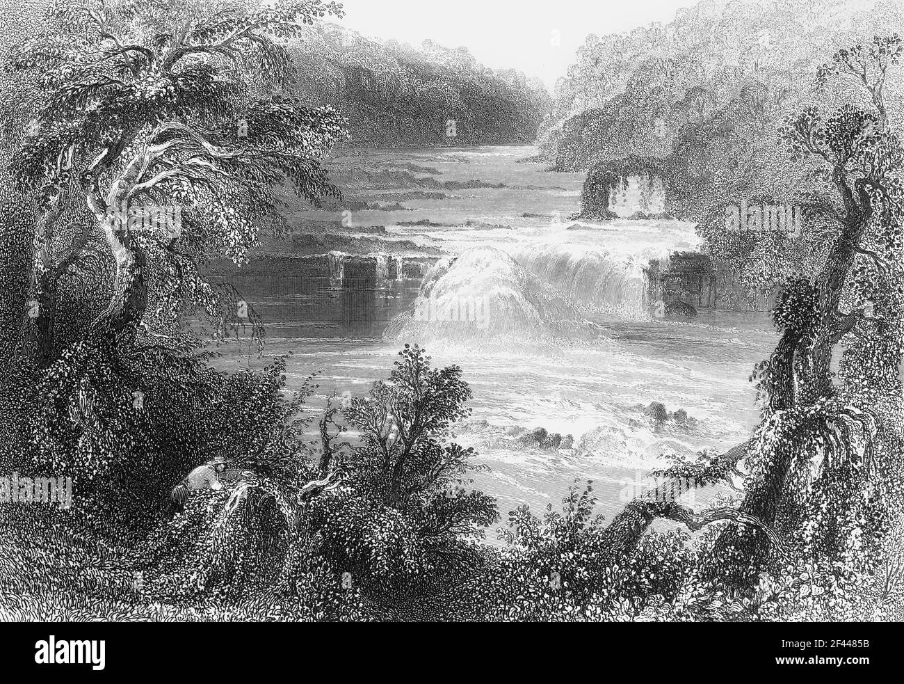 19th Century steel engraving by W H Bartlett  of the Salmon Leap, a stretch of the Rover Liffey where the river cascades over rocky ledges just above the town of Leixlip, County Kildare, Ireland. Stock Photo
