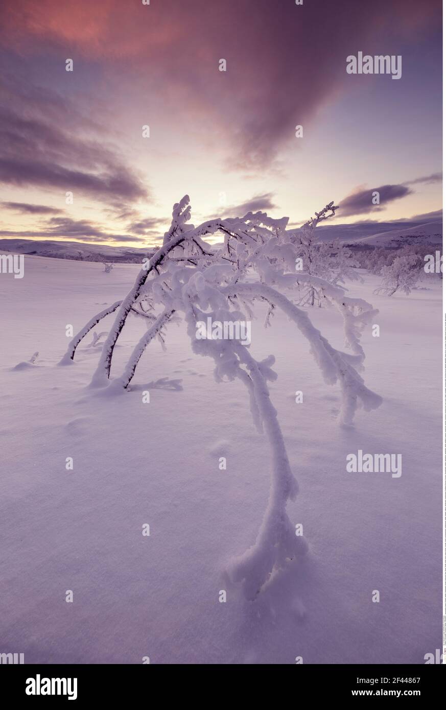 geography / travel, Finland, winter, Kilpisjaervi, Additional-Rights-Clearance-Info-Not-Available Stock Photo