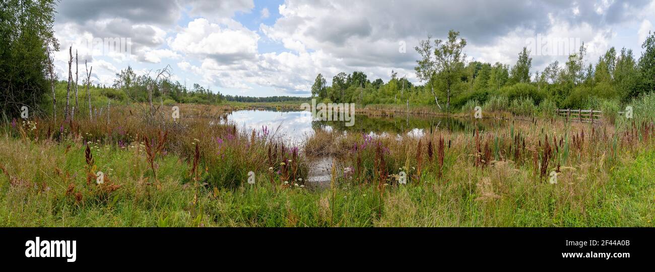 Natural moor landscape with lake - Schwenninger Moos, Germany Stock Photo