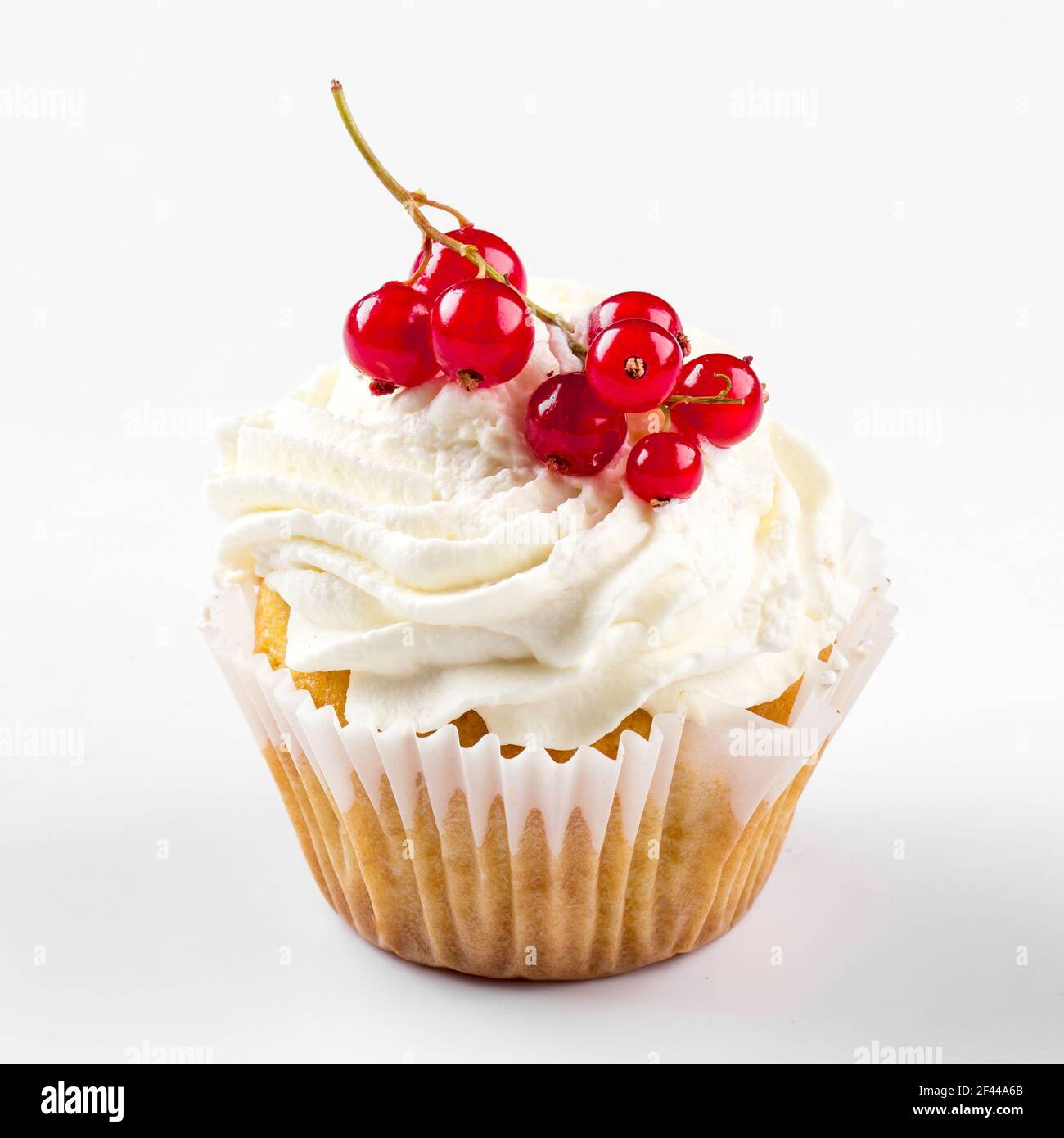 Isolated butter cream cupcake with currant berries Stock Photo