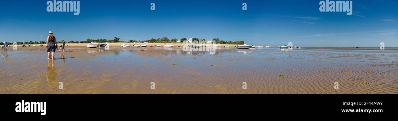 Panorama of people looking for crustaceans at low tide in Les Portes-en-Ré on the isle of ile de re in France and some boats laying on the sand. Stock Photo