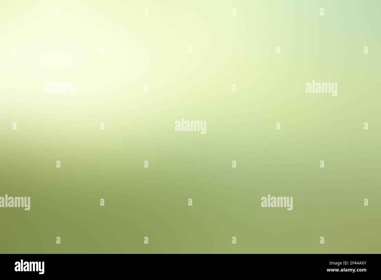 Light green & white gradient abstract background Stock Photo - Alamy