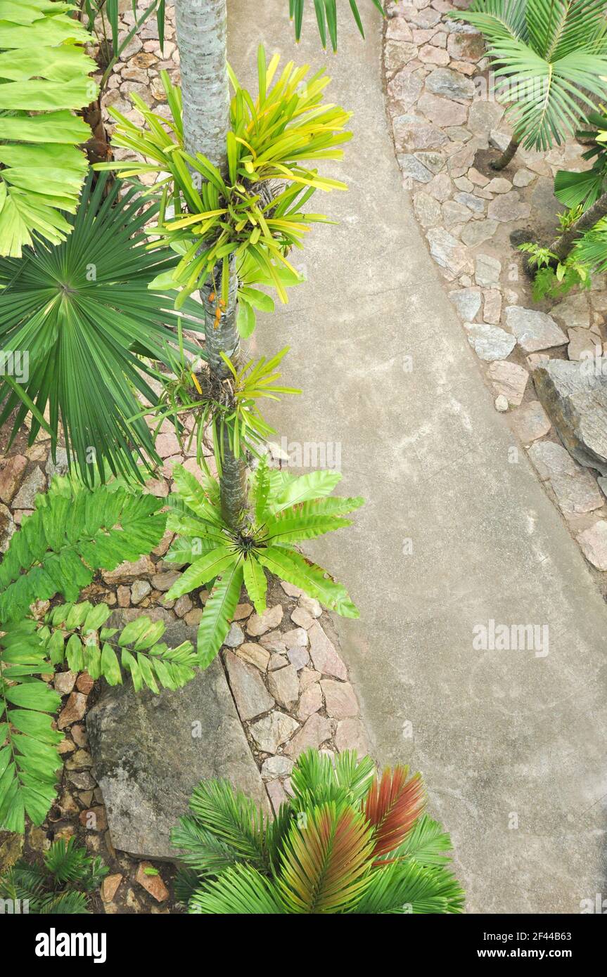 Top view of garden hires stock photography and images Alamy