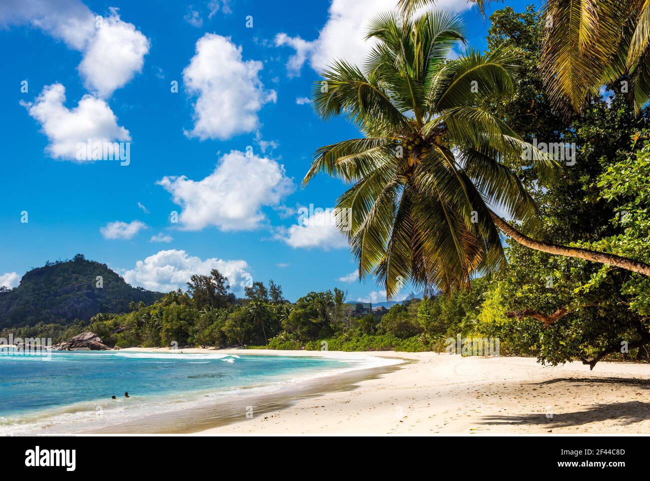 geography / travel, Seychelles, Mahe, Takamaka, beach with palm trees, Additional-Rights-Clearance-Info-Not-Available Stock Photo