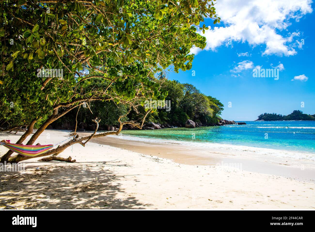 geography / travel, Seychelles, Mahe, Baie Lazare, beach with hammock, Additional-Rights-Clearance-Info-Not-Available Stock Photo