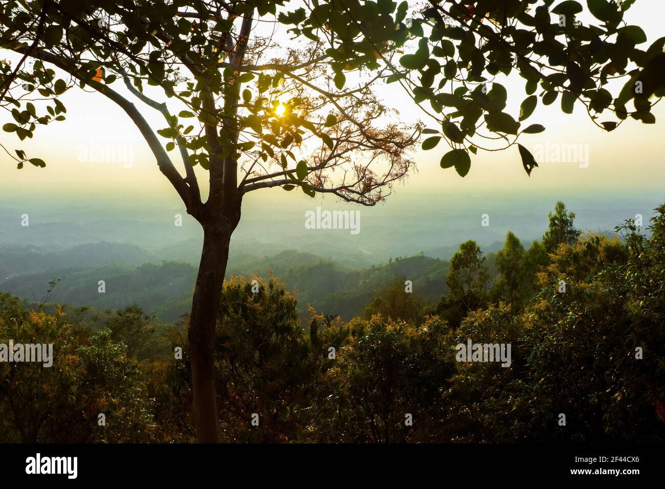 The nature of bangladesh is beautiful hi-res stock photography and ...