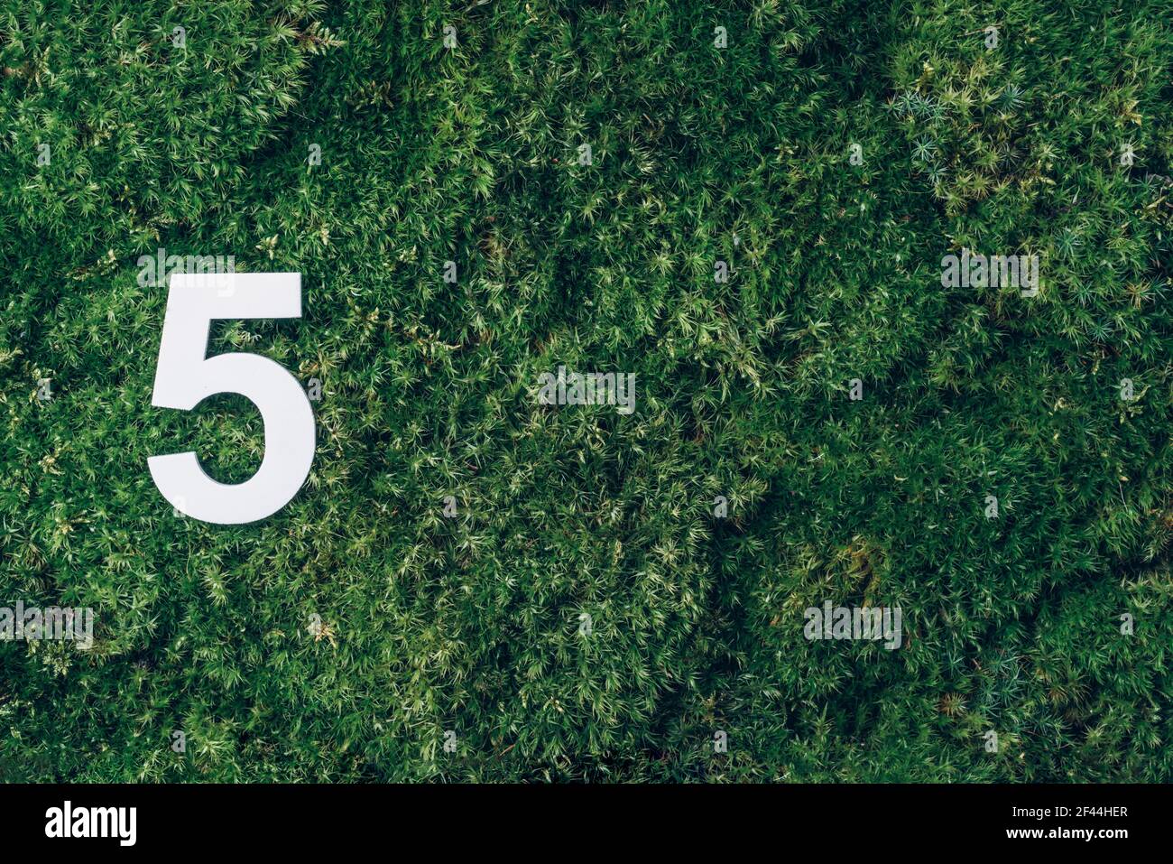 Ecology, zero waste. Green grass and digit five 5. Birthday greeting card. Anniversary concept. Top view. Copy space. White numeral over eco moss Stock Photo