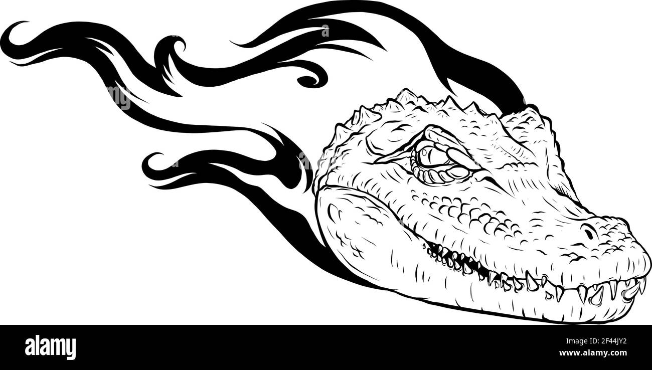 draw in black and white of Vector illustration, a ferocious alligator head with flames Stock Vector