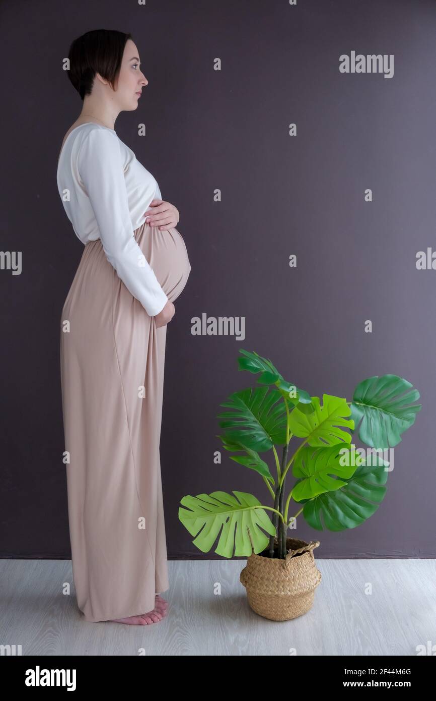Studio portrait of elegant young adult pregnant woman in white beige dress with green tropical plant, happy pregnancy concept Stock Photo