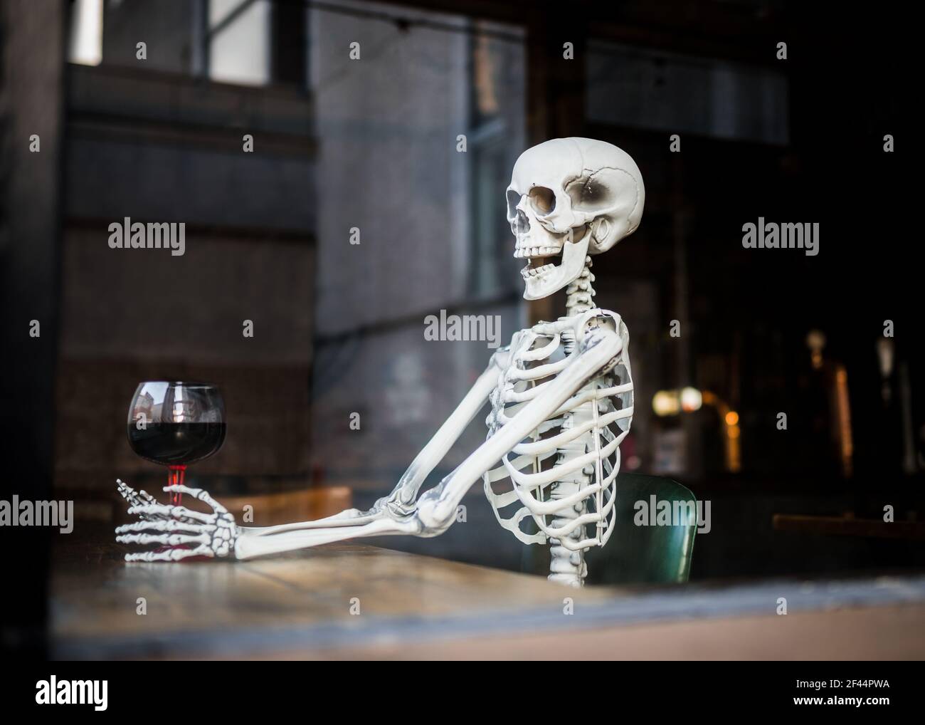 Human skeleton bones sat in leather chair in pub holding a glass of alcohol wine waiting a long time for pubs and bars to re-open after being closed Stock Photo