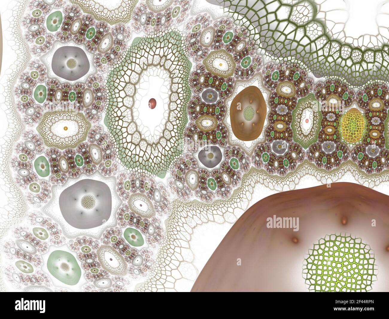 Abstract bio mitosis background. Rendered close up illustration ...