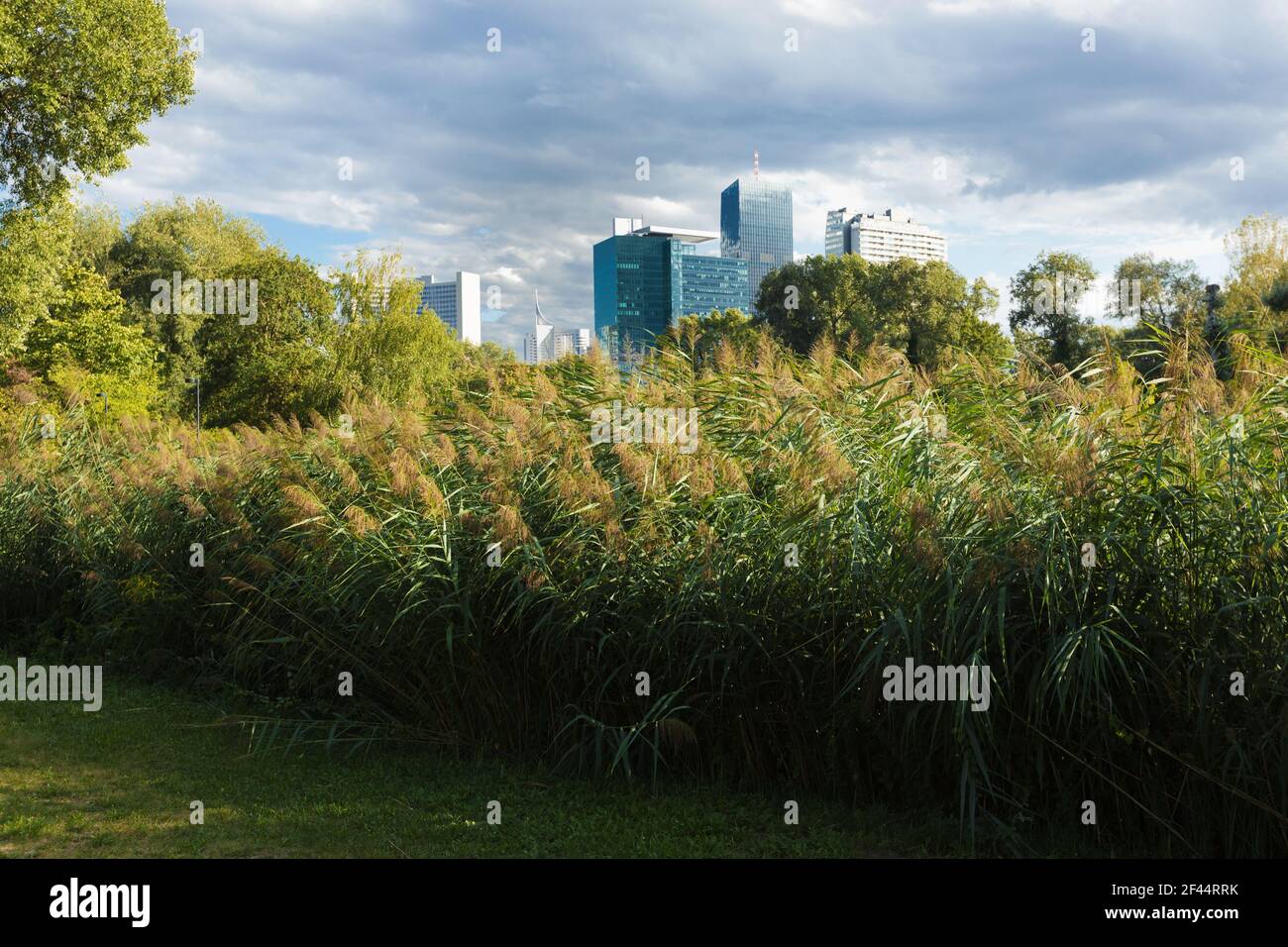 Wien skyline hi-res stock photography and images - Alamy