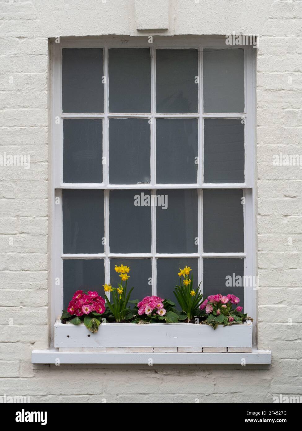 Spring flowers in a window box in Westbury, Wiltshire, England, UK. Stock Photo