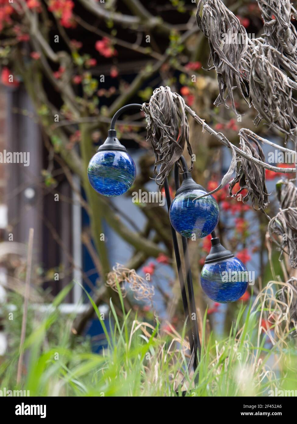 Blue, glass bowls on display in a garden in Westbury Leigh, Wiltshire