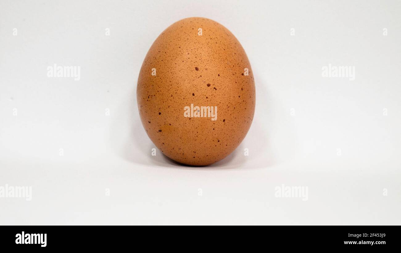 Chicken egg isolated on white background Stock Photo - Alamy