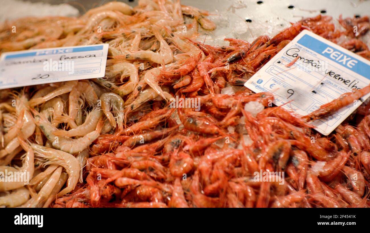 Freshly caught shrimps in traditional Portuguese fish market Stock