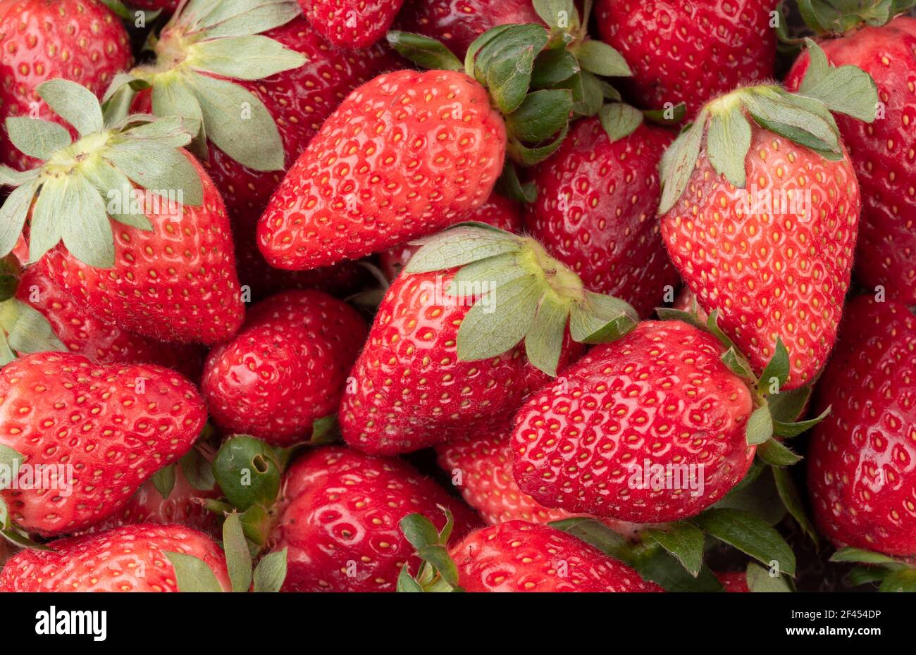 Group of strawberries hi-res stock photography and images - Alamy