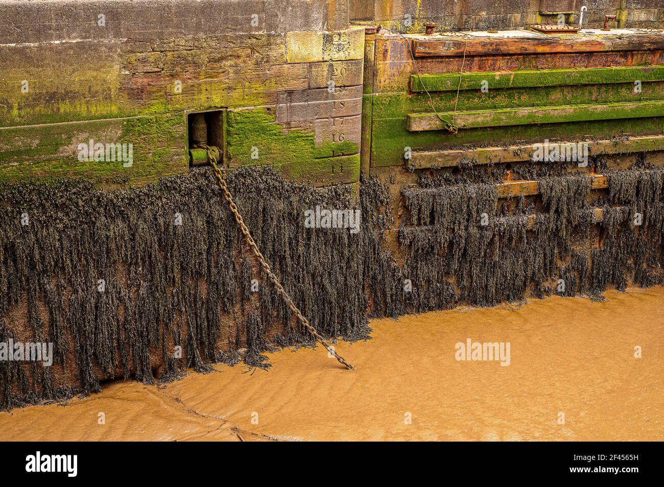 Maryport harbour fishing boat hi-res stock photography and images - Alamy