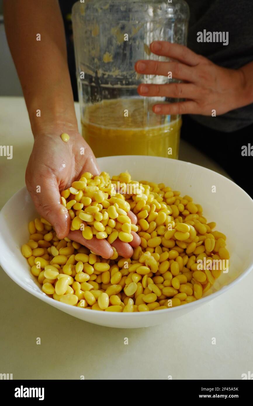 Tempeh or tempe is a traditional Indonesian soy product that is made from fermented soybeans