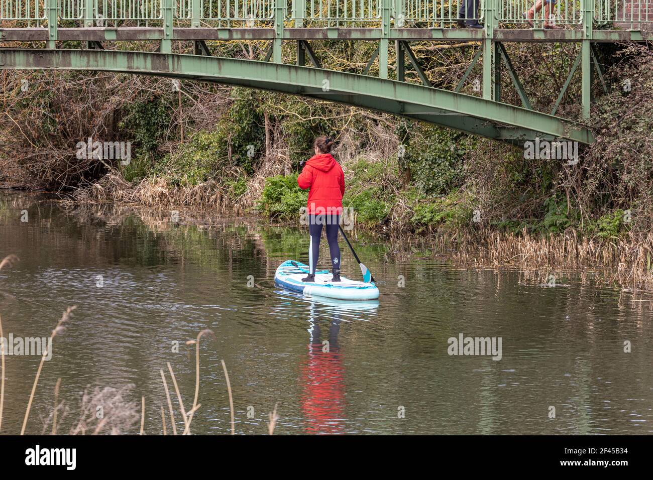 A Paddle Boarder on the Royal Military Canal, Hythe, Kent Stock Photo