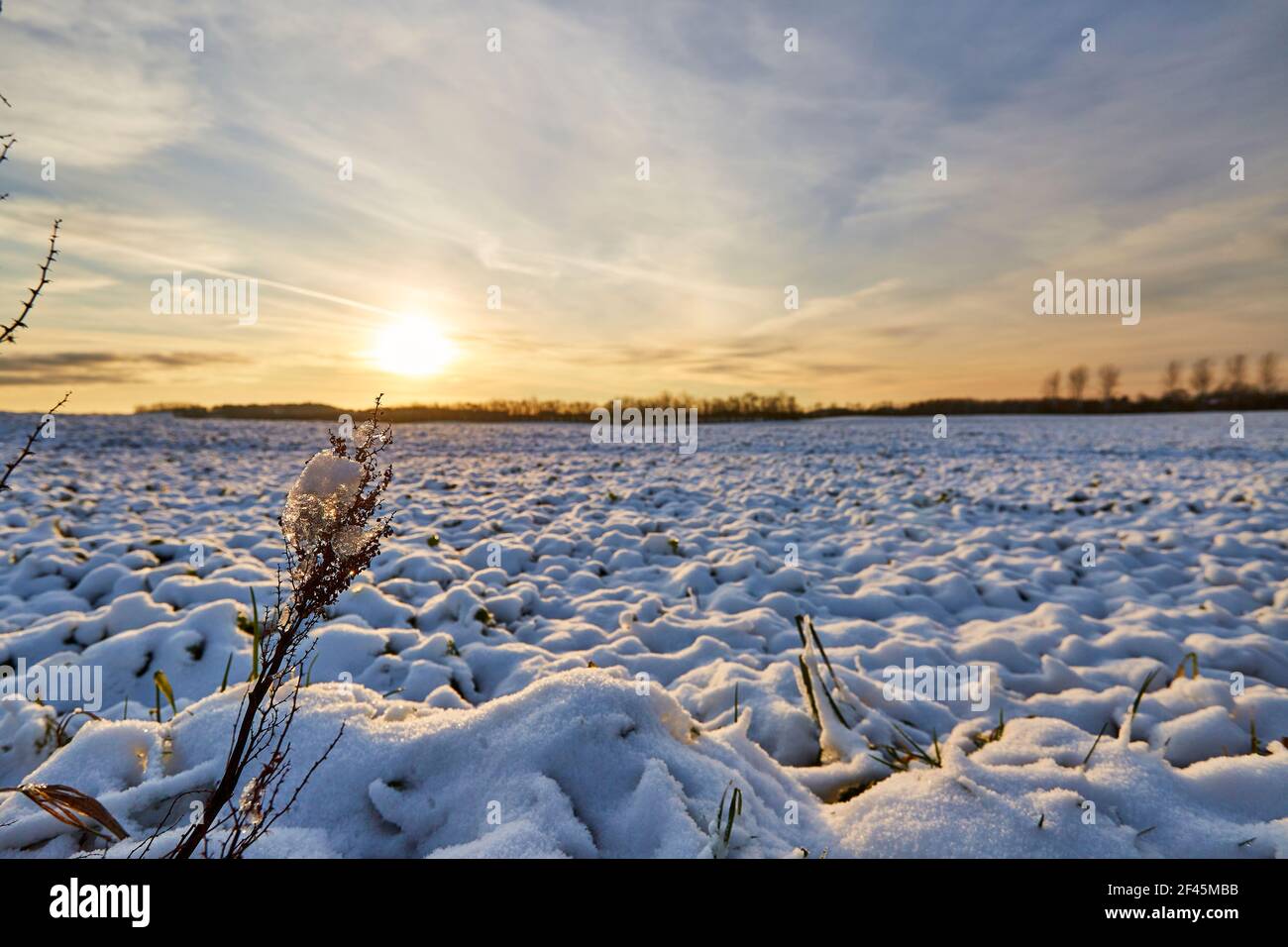 white snow on a large field with sunset Stock Photo