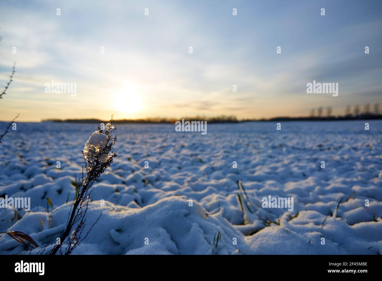 white snow on a large field with sunset Stock Photo
