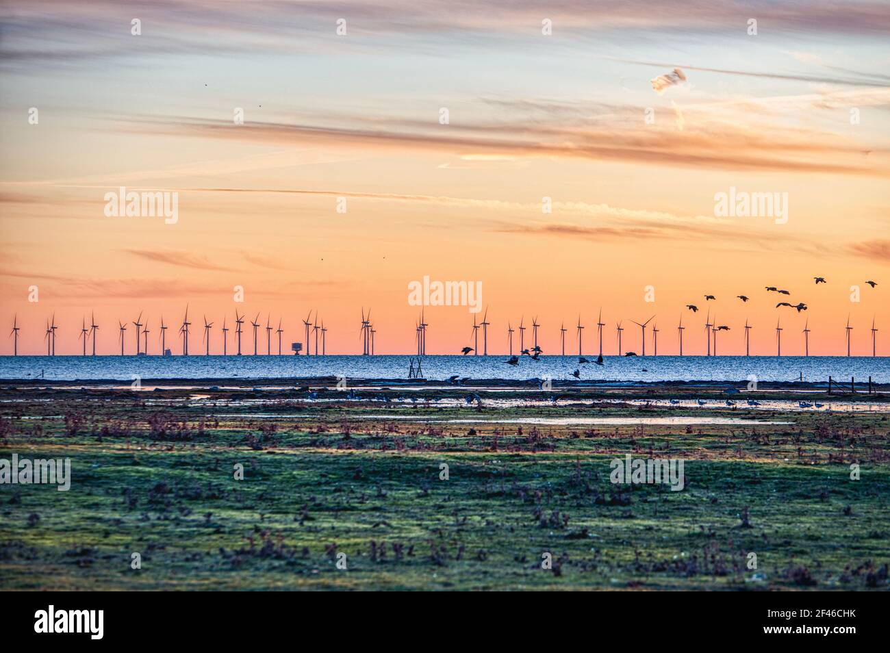 Sunset on offshore wind turbines park or wind power plant. Ecological coastal wind farm for electricity generation off Copenhagen in the Baltic sea Stock Photo