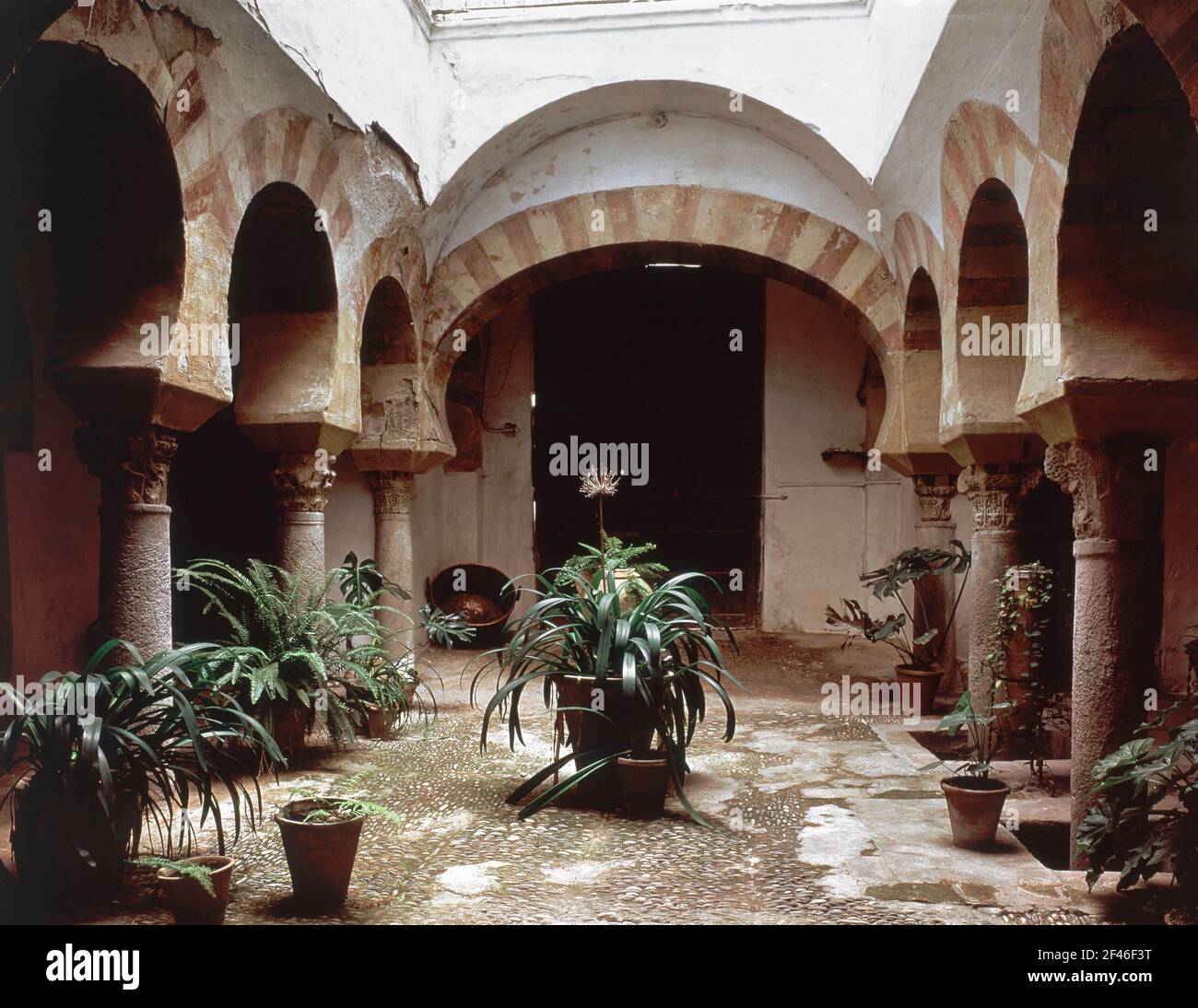 PATIO. Location: BAÑOS ARABES CALLE CESPEDES. CORDOBA. SPAIN. Stock Photo