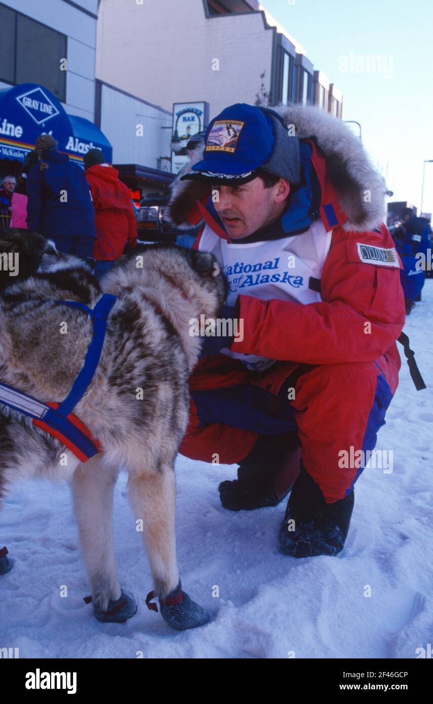 British husky musher Max Hall from Manchester readies his team at the start of the 1997 Iditarod dog sled race, Anchorage, Alaska, 01/03/97. Stock Photo