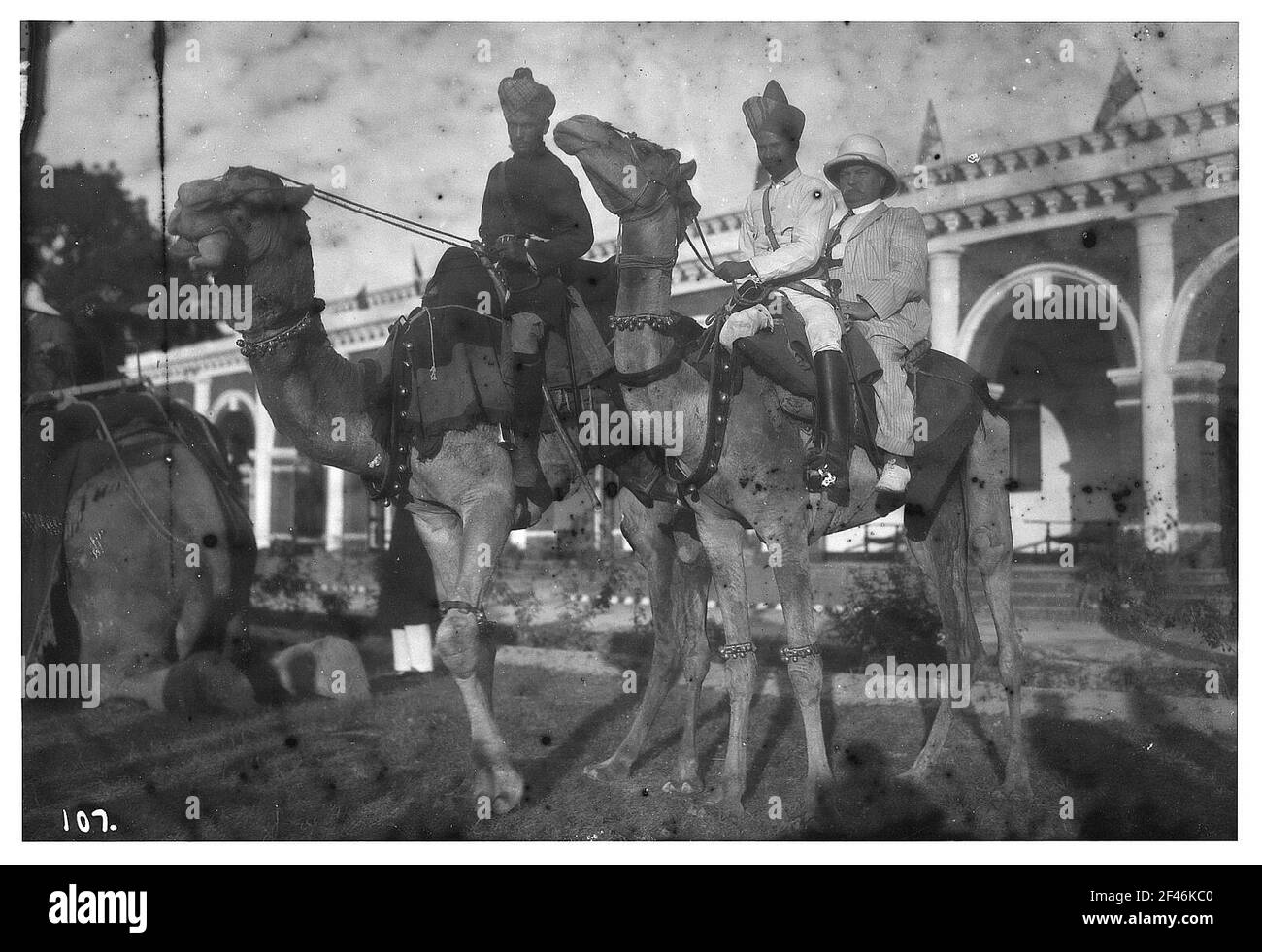 Calcutta (India). Camel ride. Two camels with local rider and European duplex tourists as well as behind them with a local rider Stock Photo