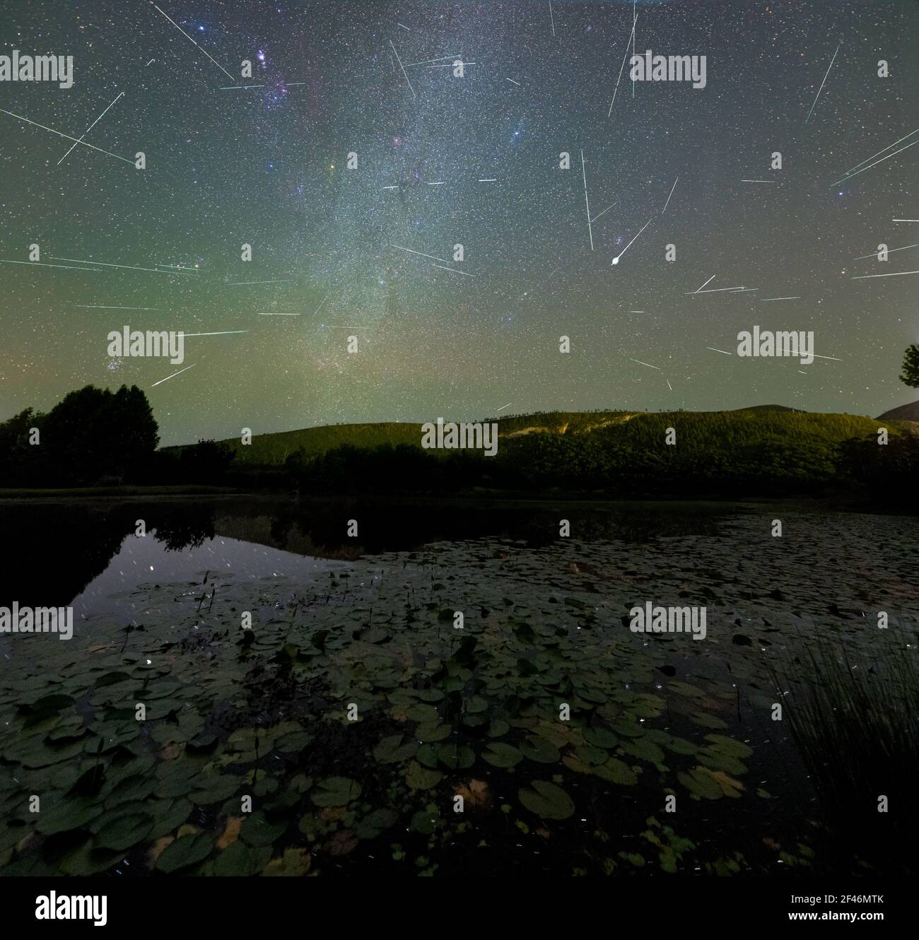 A breathtaking view of Perseids meteor shower over the pond Stock Photo - Alamy
