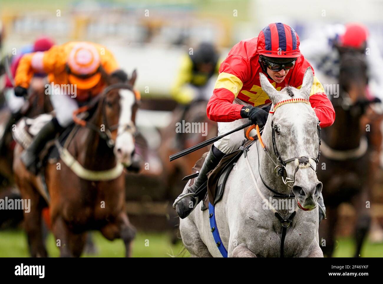Vanillier horse hires stock photography and images Alamy