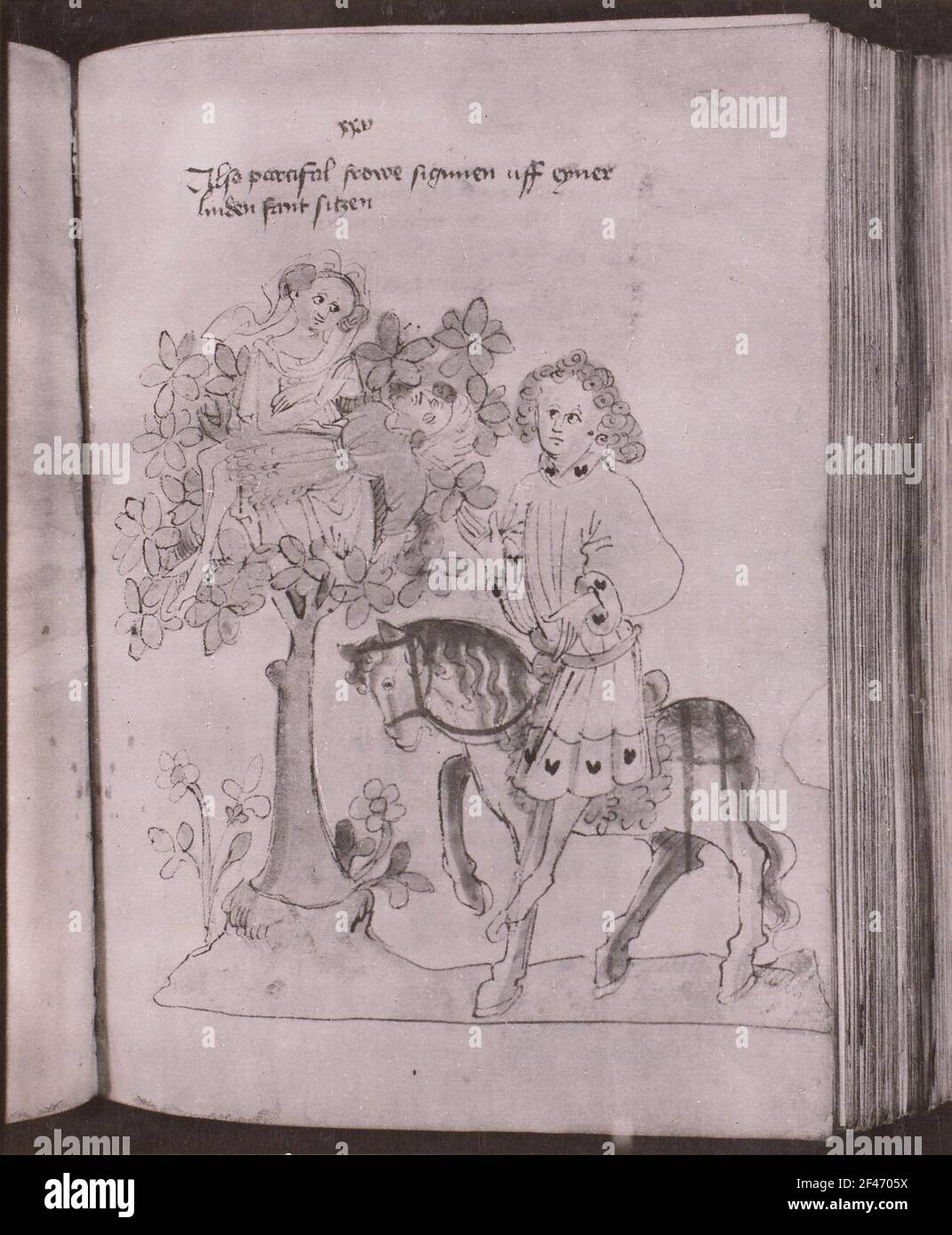 Parcival finds Sigune with the dead Schionatulander on a Linde, Leaf 175R Stock Photo