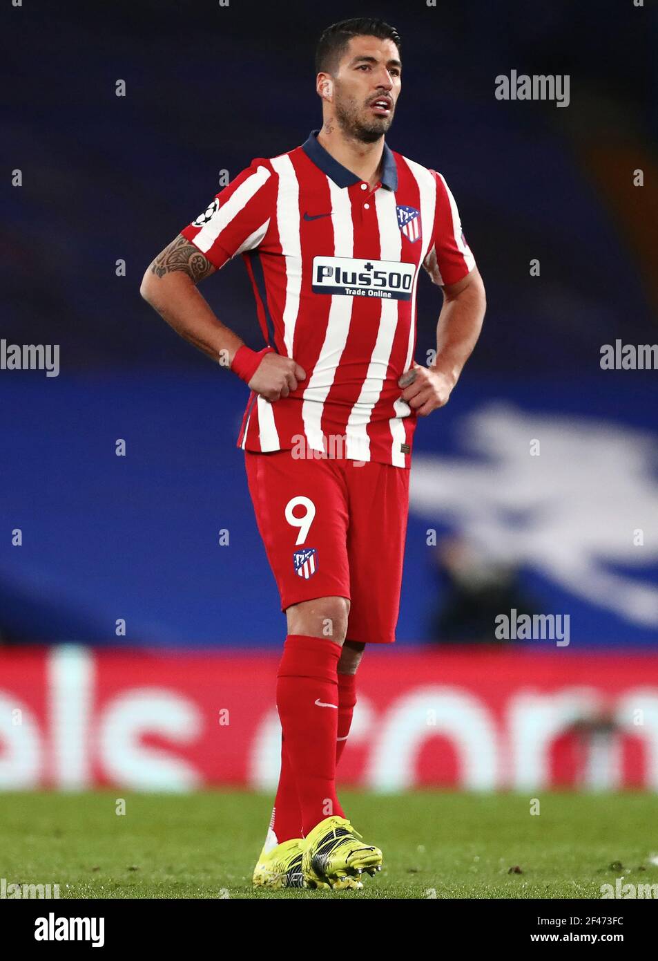 Luis Suarez of Atletico Madrid Chelsea v Atletico Madrid UEFA