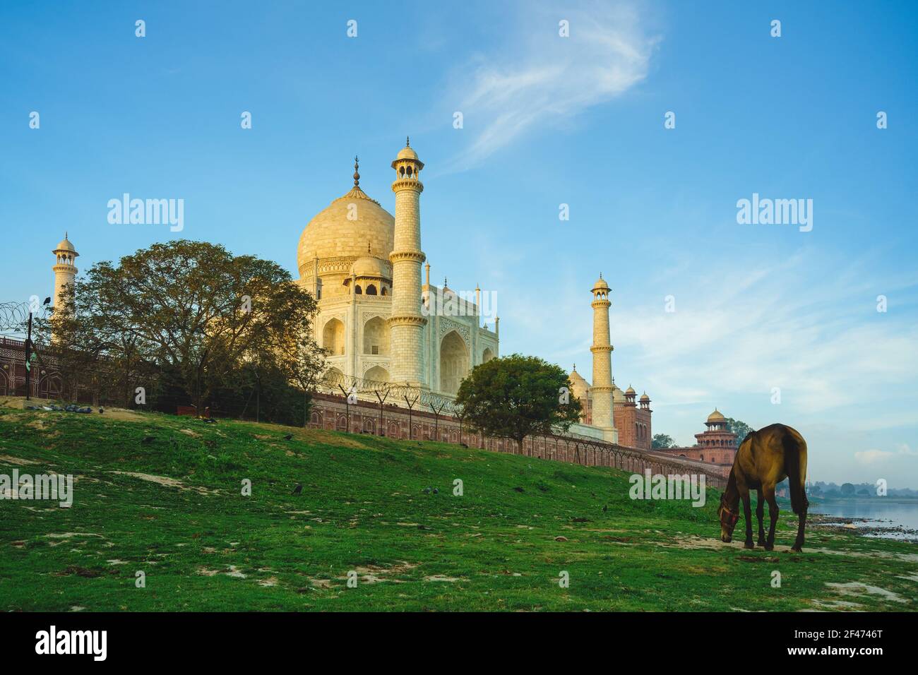 Taj Mahal, UNESCO world heritage site, in Agra, India at dusk Stock Photo